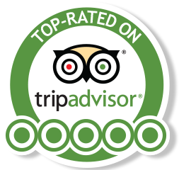 Tripadvisor Reviews